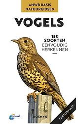 Foto van Vogels - volker dierschke - ebook (9789043925587)