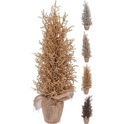 Foto van Nampook - kerstboom in pot 45 cm 4 assorti