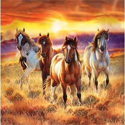 Foto van Diamond painting pakket prachtige paarden in het veld - volledig - full- 30x30 cm - seos shop ®