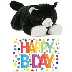 Foto van Cadeau setje pluche zwart/witte kat/poes knuffel 25 cm met happy birthday wenskaart - knuffel huisdieren