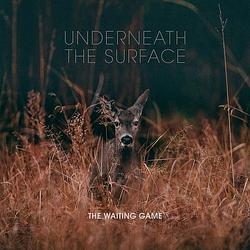 Foto van Underneath the surface - lp (2090405365284)