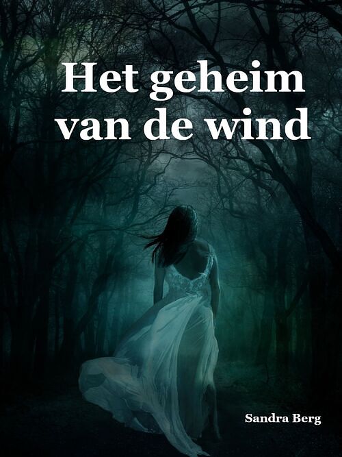 Foto van Het geheim van de wind - sandra berg - ebook (9789462178595)