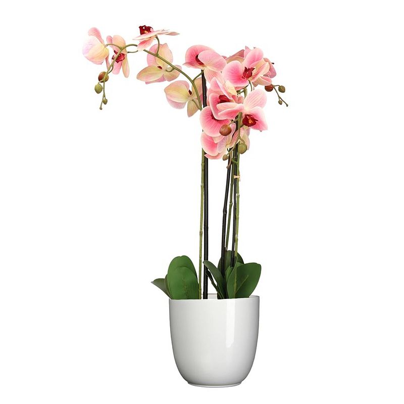 Foto van Orchidee kunstplant roze - 75 cm - inclusief bloempot wit glans - kunstplanten