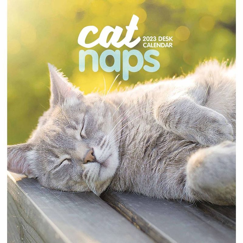 Foto van Cat naps kalender 2023 easel desktop