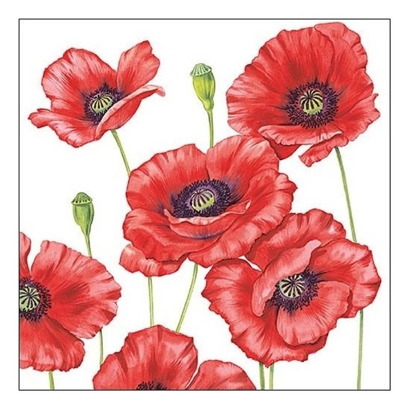 Foto van 20x klaprozen/poppy bloemen voorjaar servetten 33 x 33 cm - feestservetten