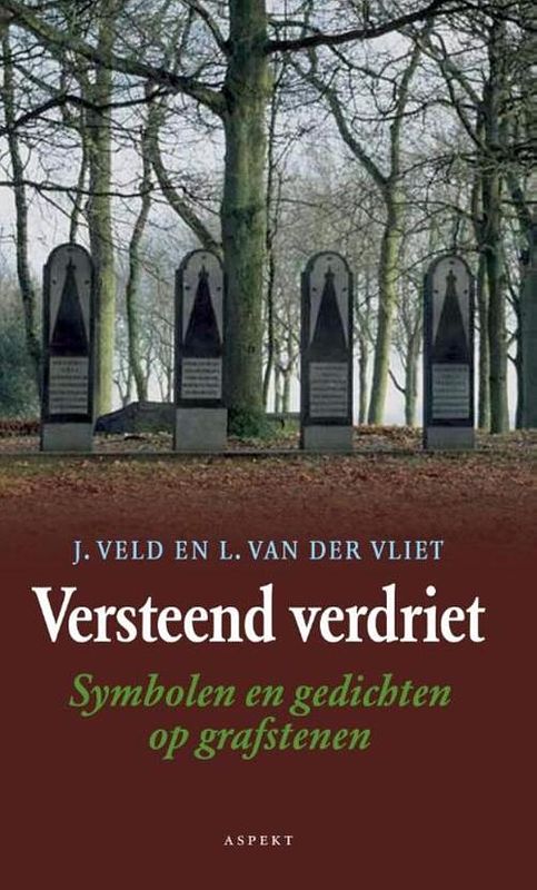 Foto van Versteend verdriet - jaap veld, lex van der vliet - ebook (9789464620672)