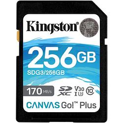 Foto van Canvas go! plus sdxc 256 gb