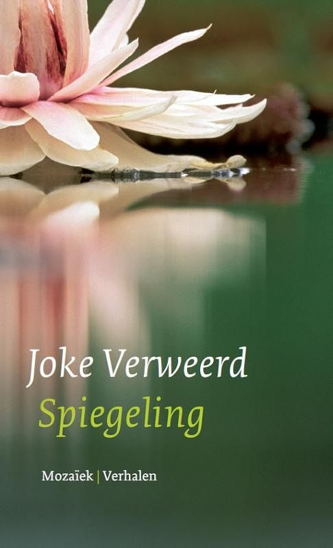 Foto van Spiegeling - joke verweerd - ebook (9789023918721)