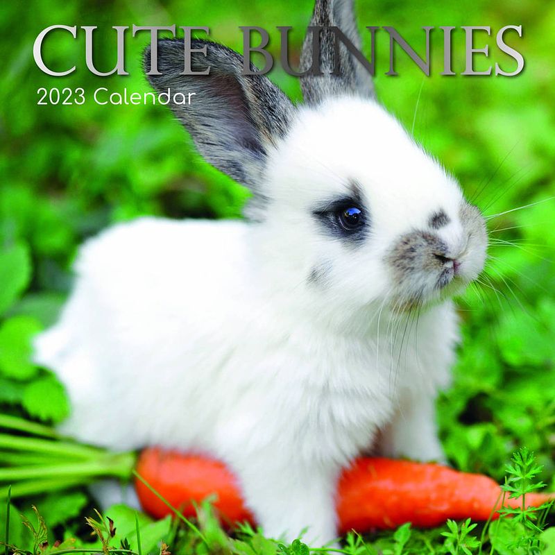 Foto van Cute bunnies kalender 2023