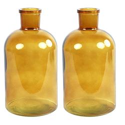 Foto van 2x stuks countryfield vaas - goudgeel - glas - apotheker fles vorm - d14 x h27 cm - vazen