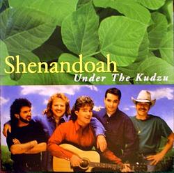 Foto van Under the kudzu - cd (0078636626727)