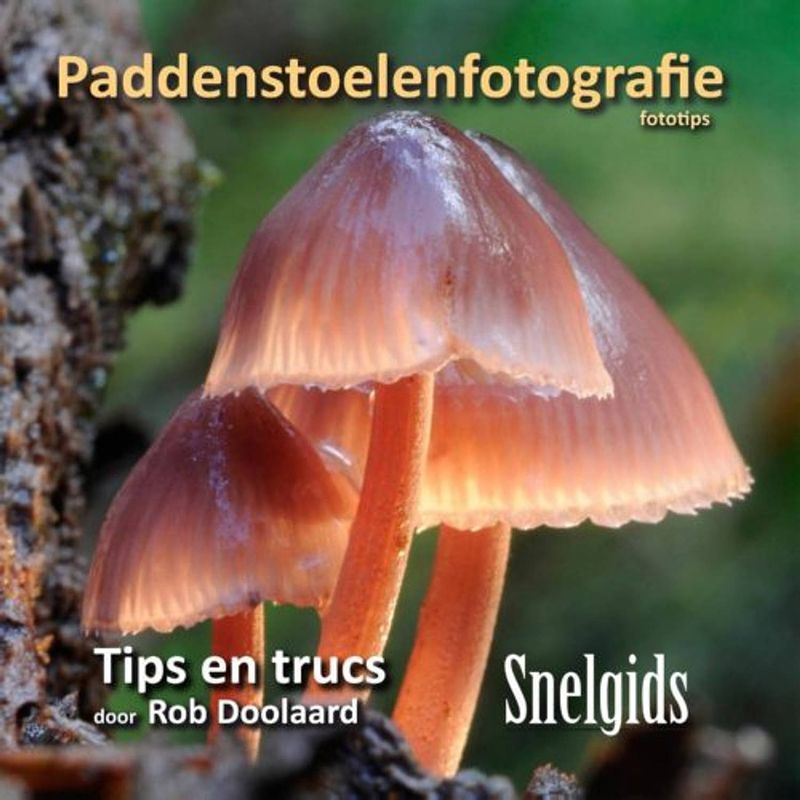 Foto van Paddenstoelenfotografie fototips