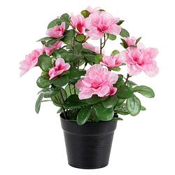 Foto van Azalea kunstbloemen - in pot - roze - h25 cm - kunstplanten