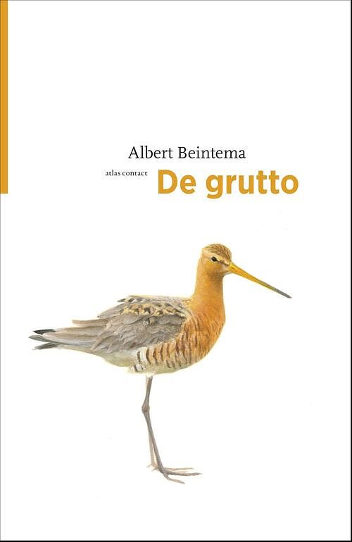 Foto van De grutto - albert beintema - ebook (9789045029450)