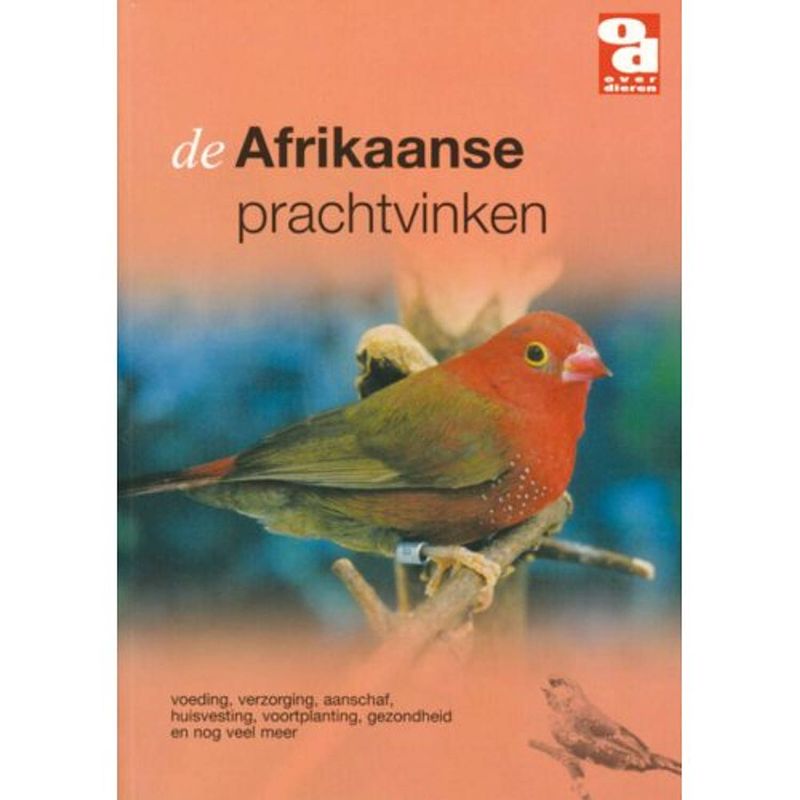 Foto van De afrikaanse prachtvinken - over dieren