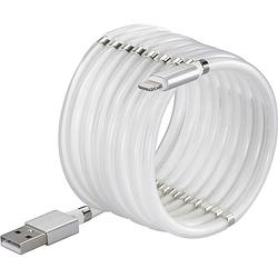 Foto van Renkforce usb-kabel usb 2.0 usb-c stekker, apple lightning stekker 2.00 m wit to-6897015