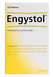 Foto van Heel engystol tabletten 250st