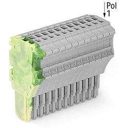 Foto van Wago 2020-114/000-037 connector, female 10 stuk(s)