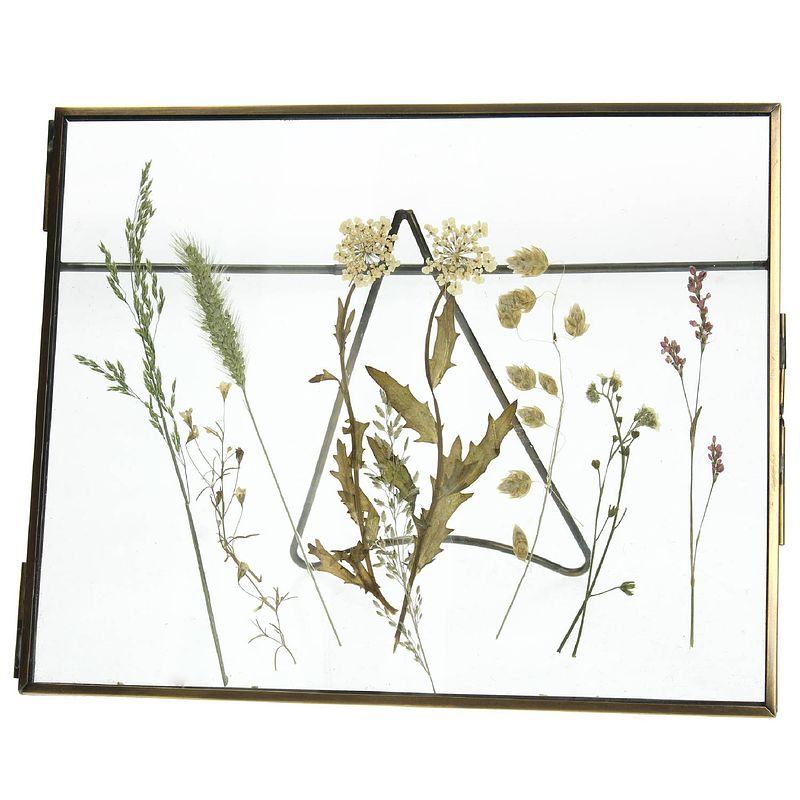 Foto van Hd collection - lijst gedroogde bloem messing brons 20,5x2x15,2cm