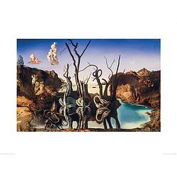 Foto van Pyramid salvador dali swans reflecting elephants kunstdruk 60x80cm