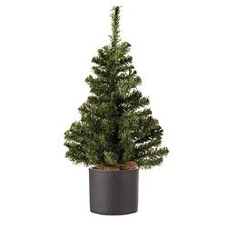 Foto van Volle mini kerstboom groen in jute zak 60 cm inclusief donkergrijze pot - kunstkerstboom