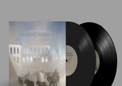 Foto van The great awakening - lp (0617308022049)