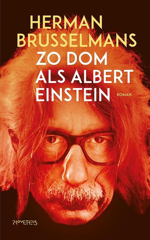 Foto van Zo dom als albert einstein - herman brusselmans - ebook (9789044640045)