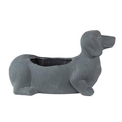 Foto van Clayre & eef bloempot binnen hond 30x12x16 cm grijs steen plantenpot decoratie pot grijs plantenpot decoratie pot