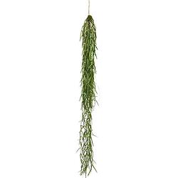 Foto van Nova nature - kunst hanging sprengeri bush green - 94 cm