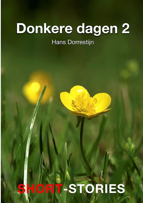 Foto van Donkere dagen -2 - hans dorrestijn - ebook (9789462179905)