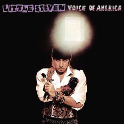 Foto van Voice of america - lp (0602577939679)