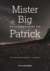 Foto van Mister big en de verdwijning van patrick - floor oosterwechel, peter j. van koppen - ebook (9789400112513)