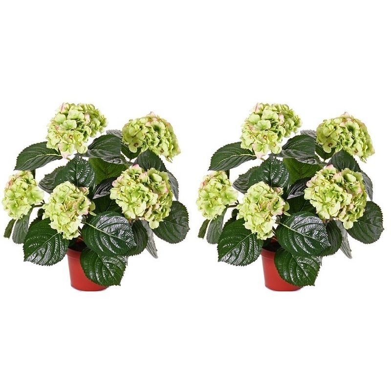 Foto van 2x groene hydrangea/hortensia kunstplanten 40 cm - kunstplanten