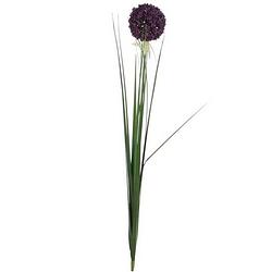 Foto van Mica decorations kunstbloem - allium bol - paars - 80 cm - kunstbloemen