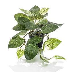 Foto van Emerald kunstplant in pot scindapsus struik 55 cm