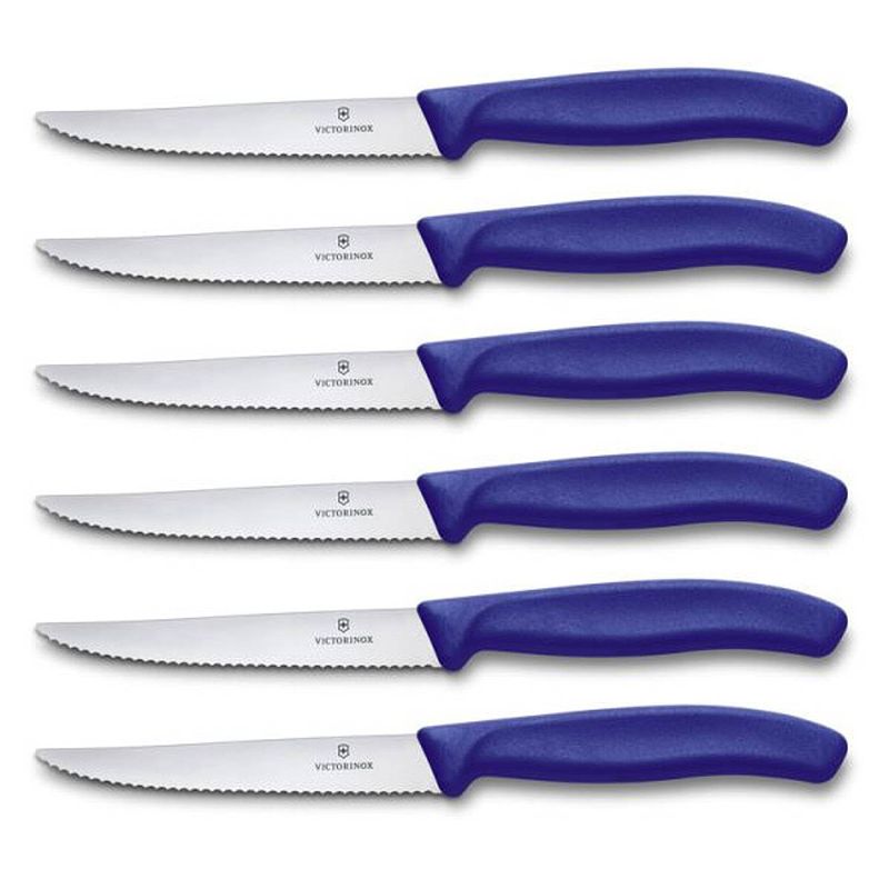 Foto van Victorinox swissclassic steakmes blauw per 6 verpakt