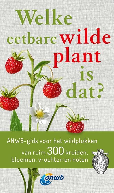 Foto van Welke eetbare wilde plant is dat? - christa bastgen - paperback (9789043928816)