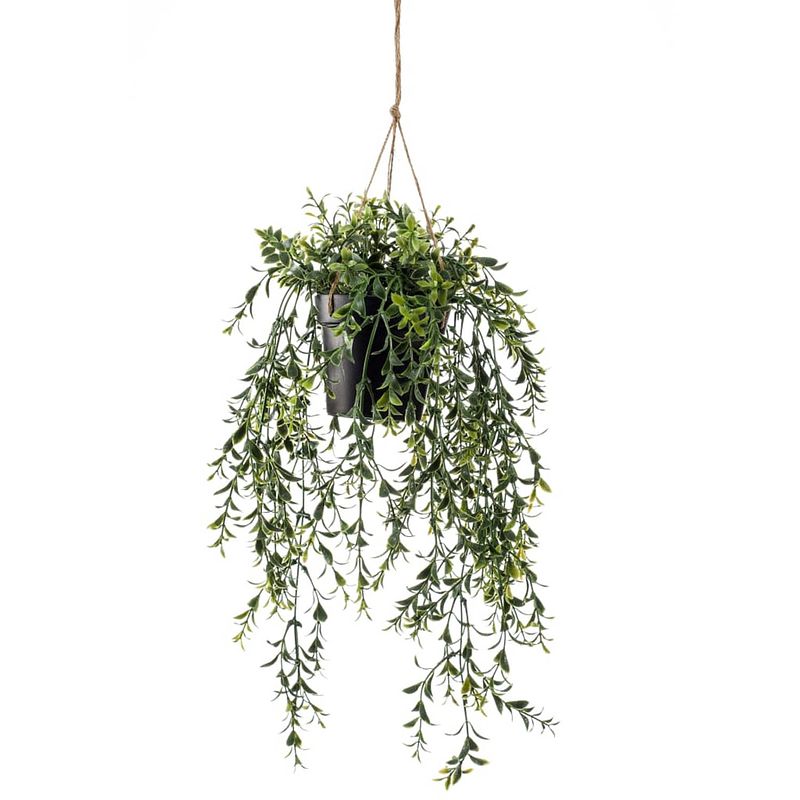 Foto van Emerald kunstplant hangend in pot buxus 50 cm
