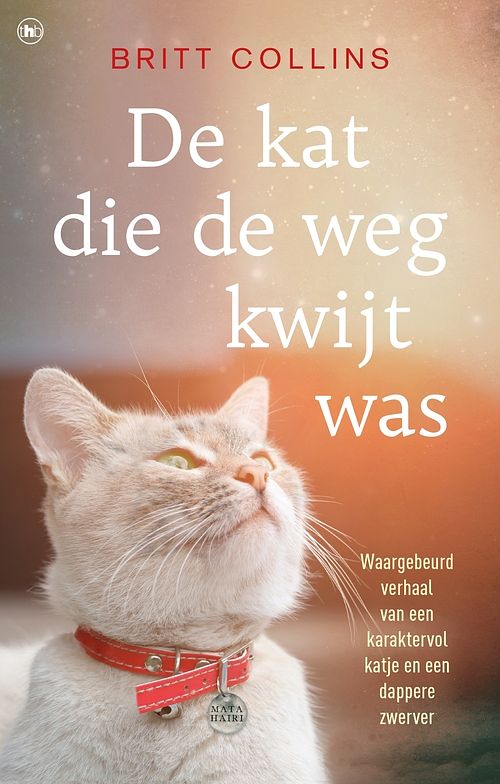 Foto van De kat die de weg kwijt was - britt collins - ebook (9789044348316)