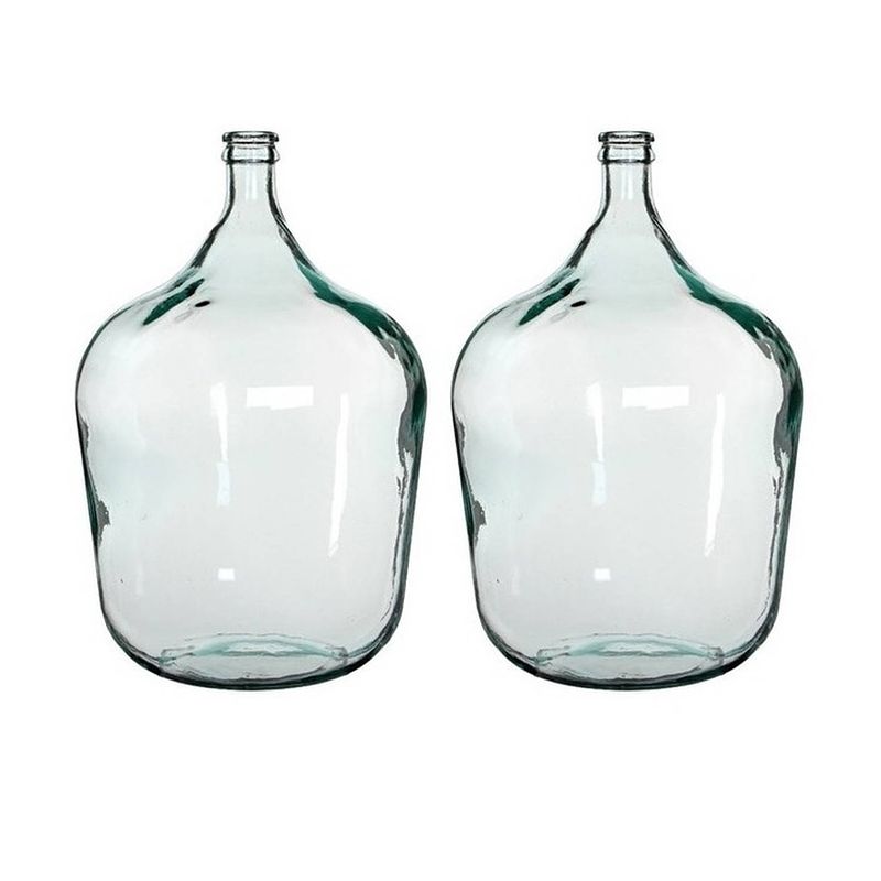 Foto van 2x stuks fles vazen diego 40 x 56 cm transparant gerecycled glas - vazen