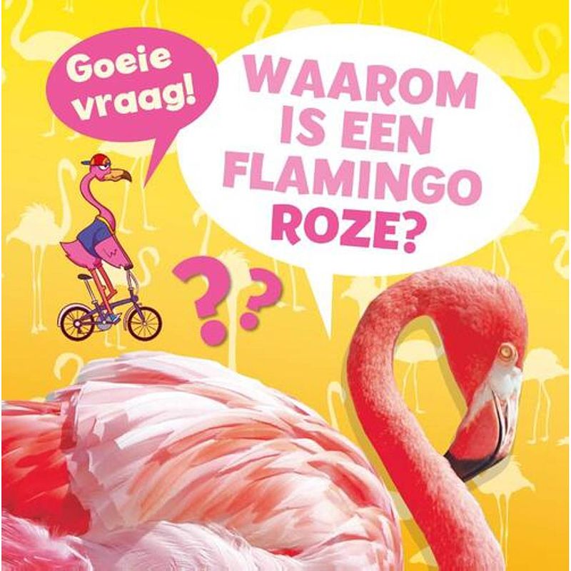 Foto van Waarom is een flamingo roze?