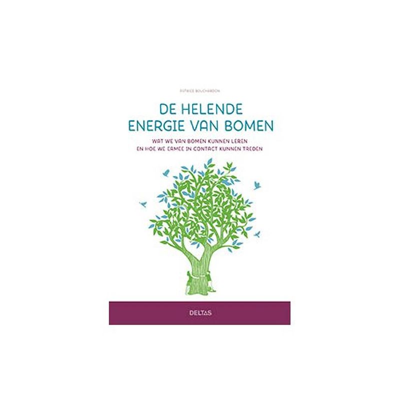 Foto van De helende energie van bomen