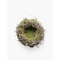 Foto van Couronne krans van mos en bonsai nest ø40cm