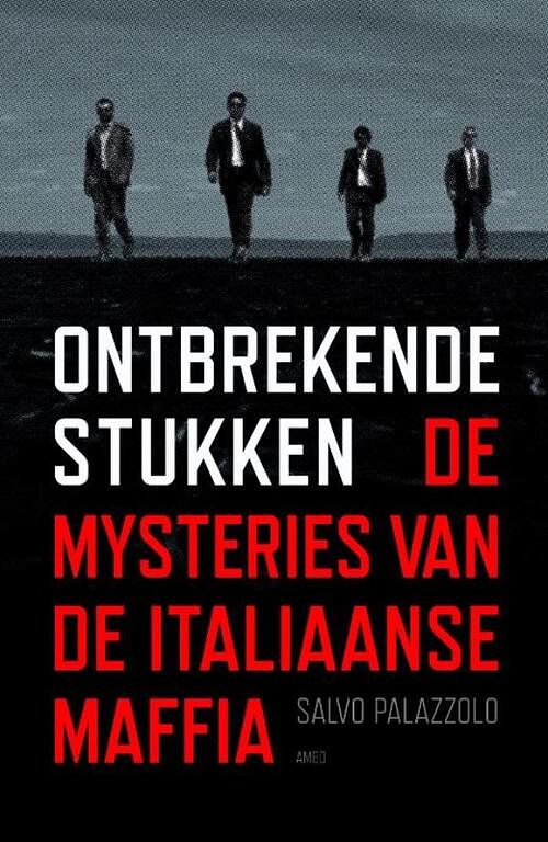 Foto van Ontbrekende stukken - salvo palazzolo - ebook (9789026325632)