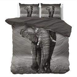 Foto van Dekbedovertrek safari olifant - tweepersoons (200x200 cm) - meerkleurig katoen - dessin: dieren - dreamhouse - dekbed-discounter.nl