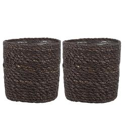 Foto van 2x stuks naturel grijs rotan planten pot mand van gedraaid jute/riet h12 en d12 cm - plantenpotten