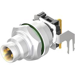 Foto van Weidmüller 2424330000 sensor/actuator steekconnector m8 aantal polen: 3 stekker, inbouw horizontaal 10 stuk(s)