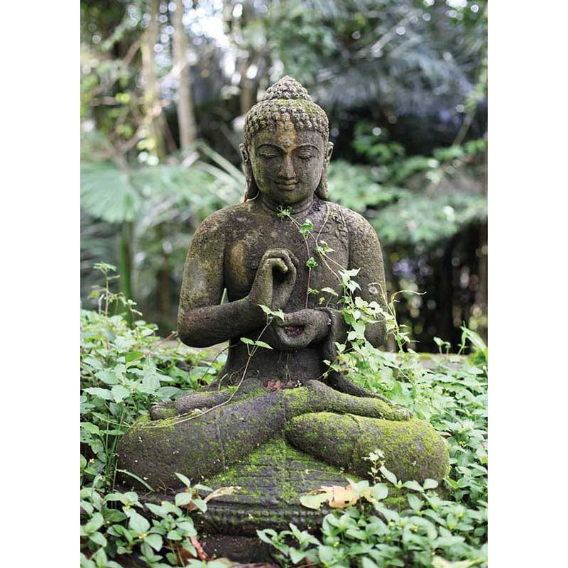 Foto van Buddha 117 x 163 cm