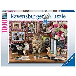 Foto van Ravensburger puzzel mijn katjes 1000pcs