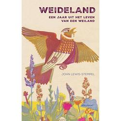 Foto van Weideland